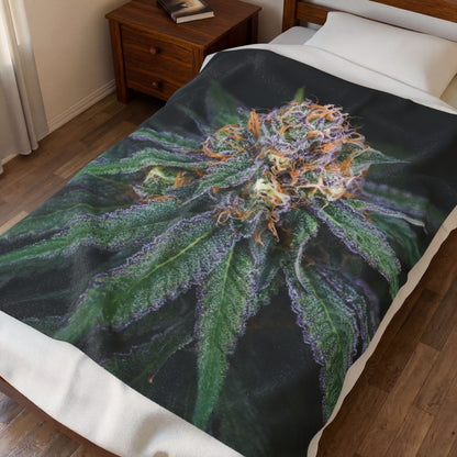 Cannabis inspired Plush Blanket – Soft Velveteen Throw for Stoners "GRANDADDY PURP" perfect holiday gift for stoners. warm blanket with cannabis design