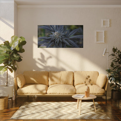 Botanical Cannabis Canvas Wall Art — Matte Stretched Print for smokers/stoners