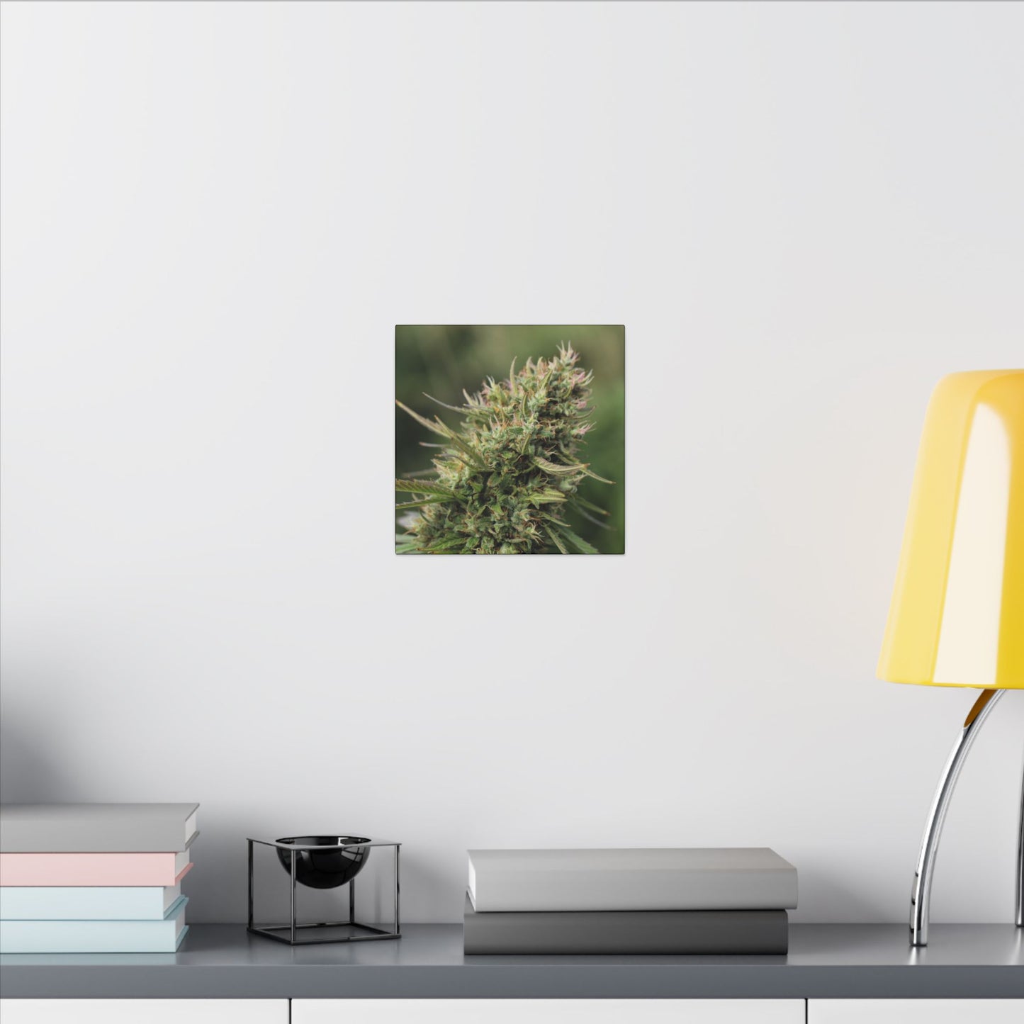 Cannabis Plant Photography Matte Canvas Print — Stretched Botanical Wall Art for cannabis smokers/stoners