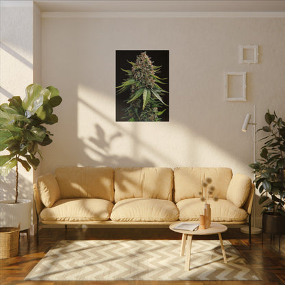 Cannabis Plant Photo Matte Canvas Print — Stretched Botanical Wall Art holiday gift for smokers or outdoor plant enthusiasts