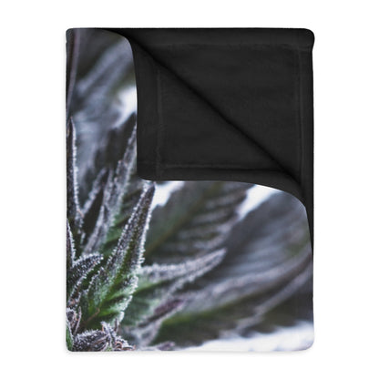 Frosted Cannabis Plant "BLUE DREAM" Microfiber Blanket — Two-Sided Cozy Throw Perfect for winter