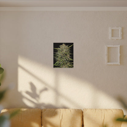 Cannabis Bud Matte Canvas Print — Botanical Marijuana Wall Art