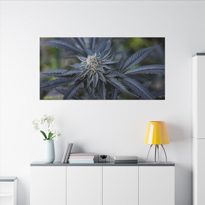 Botanical Cannabis Canvas Wall Art — Matte Stretched Print for smokers/stoners