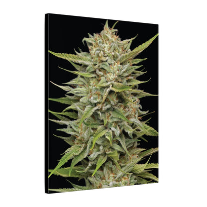 Cannabis Bud Matte Canvas Print — Botanical Marijuana Wall Art